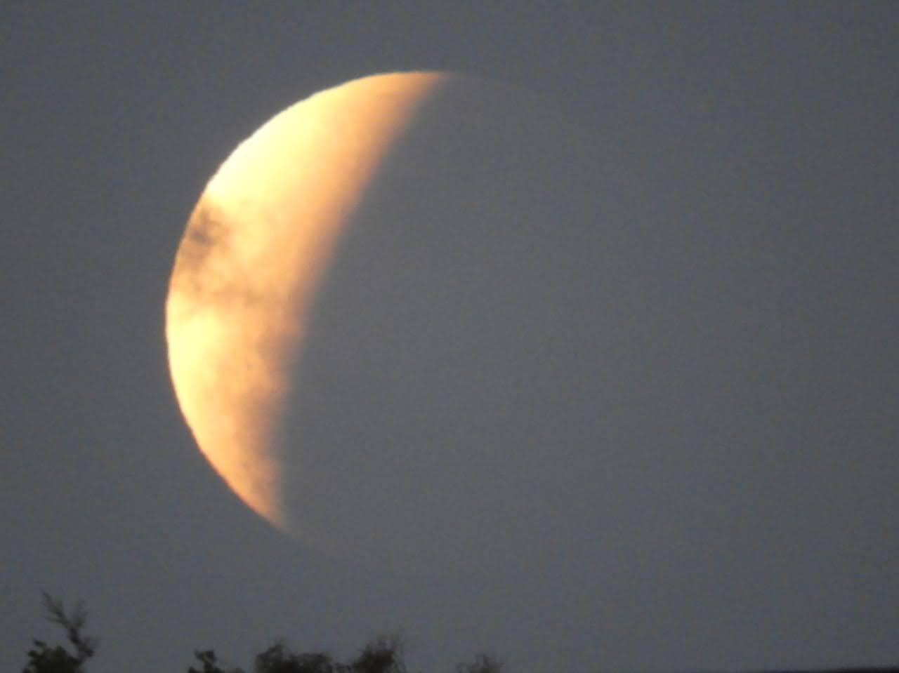 IMG-20211119-WA0016