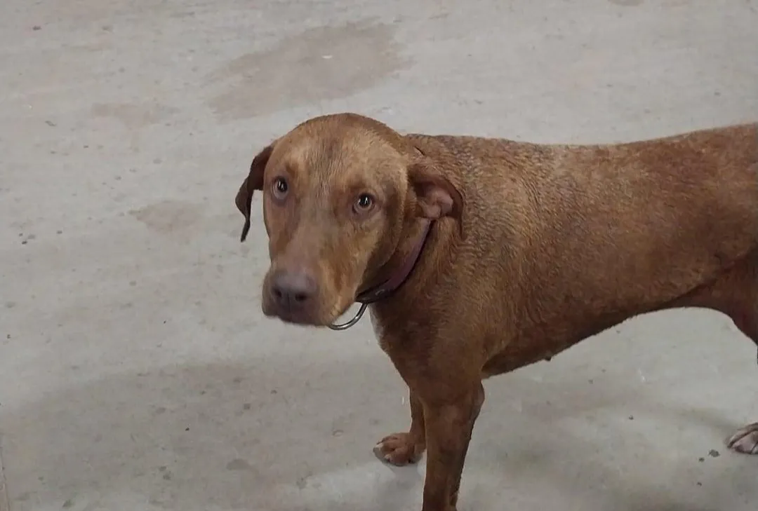 IMG_20250205_134024_697