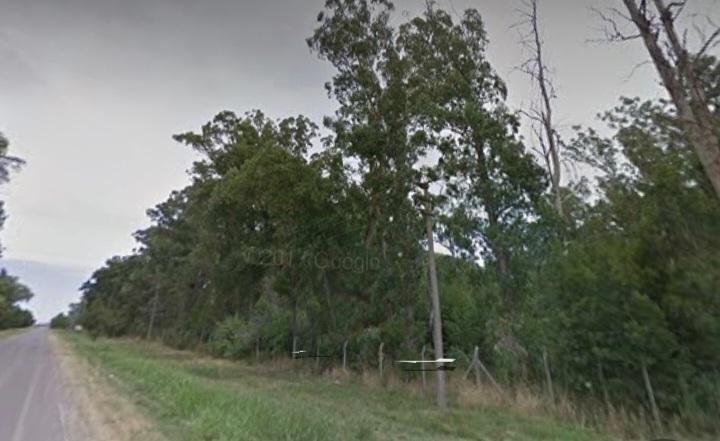 Screenshot_20231014_194848_Maps