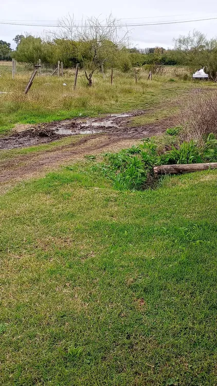 a8f551e8-83e2-44b4-99f7-4424d6054753