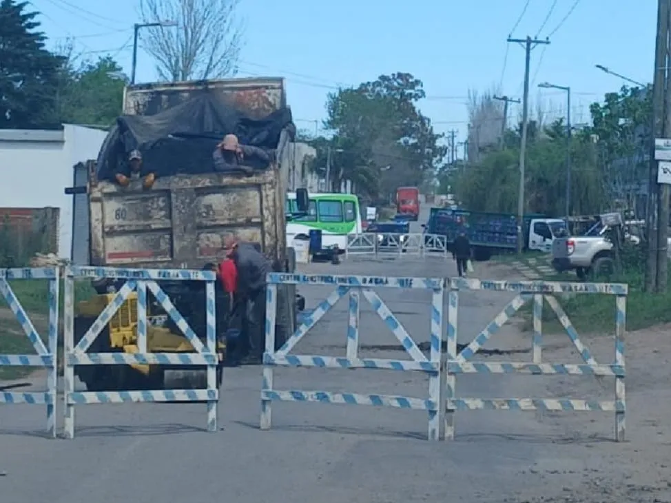 bacheo