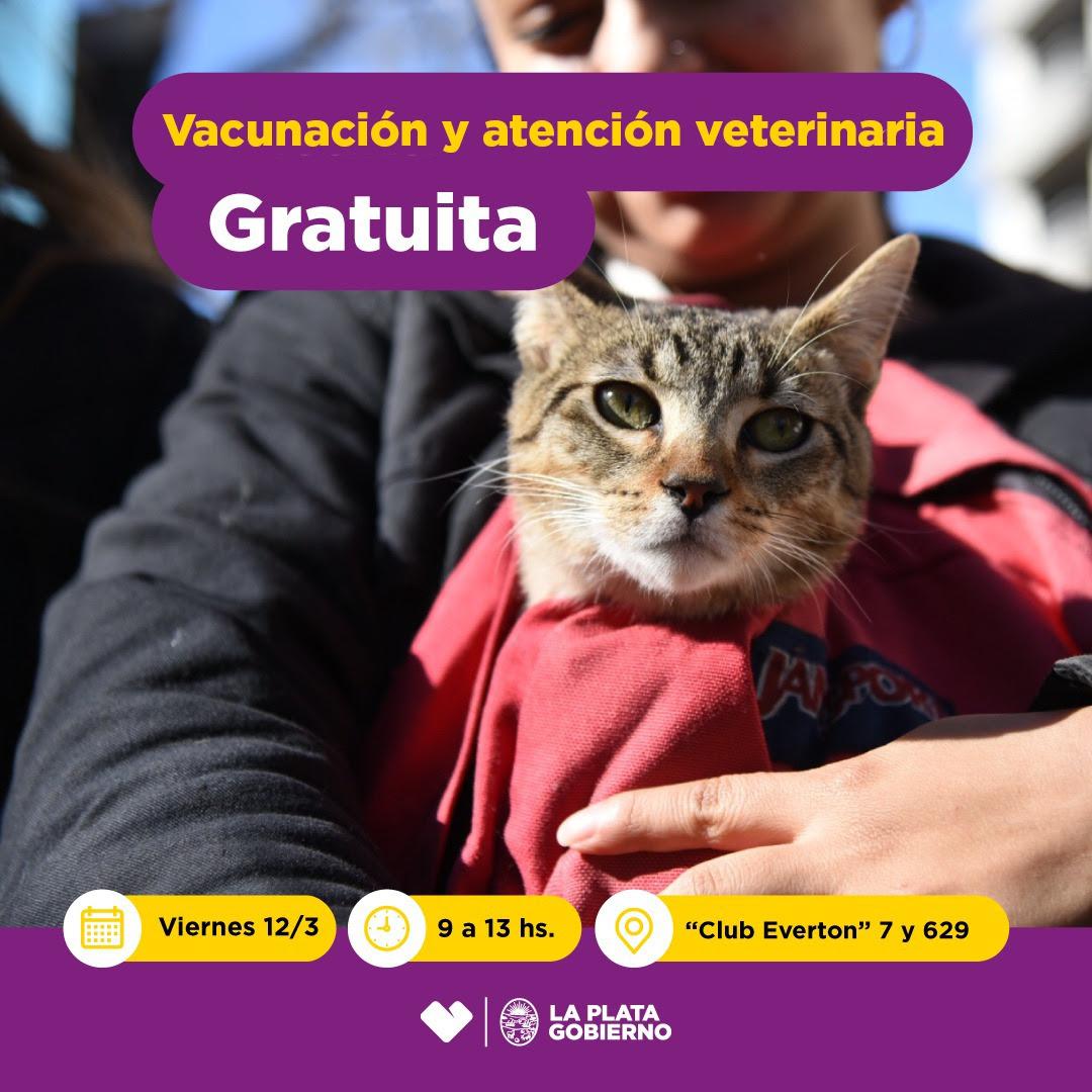 vacunasgato