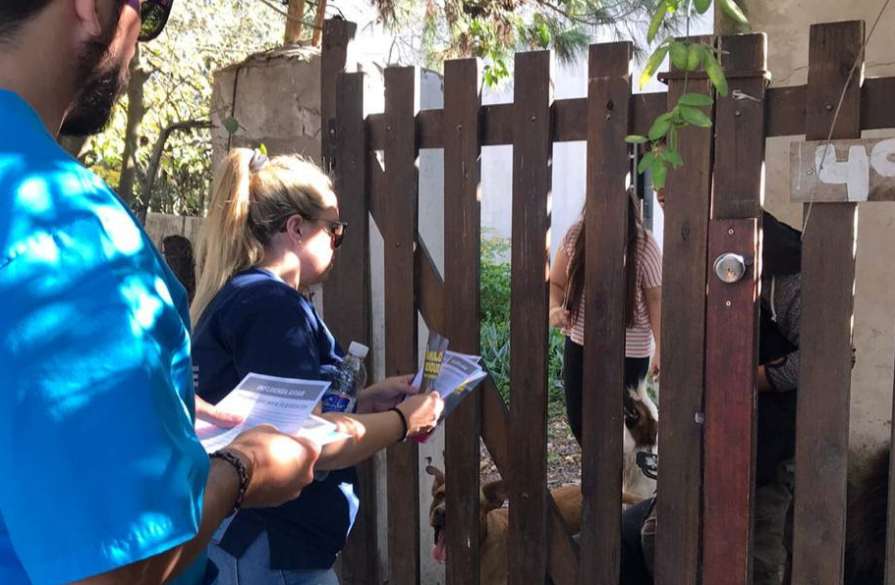 Captura de pantalla 2023-05-31 194243