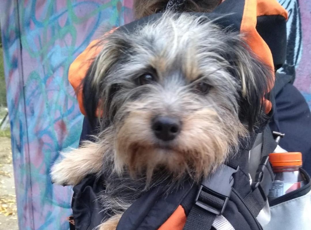 Screenshot_20240414_205630_WhatsAppBusiness