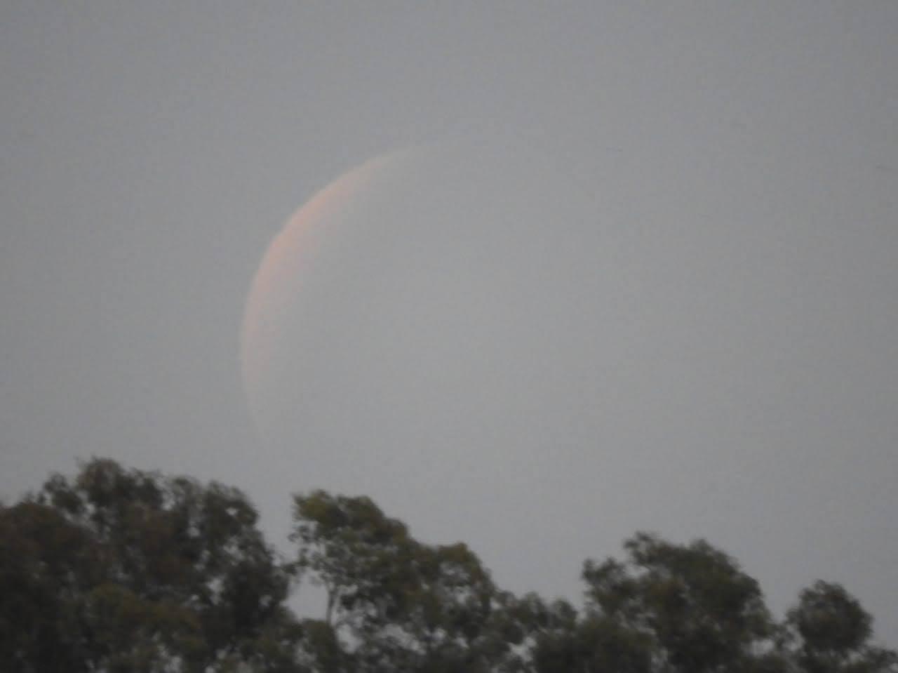 IMG-20211119-WA0012