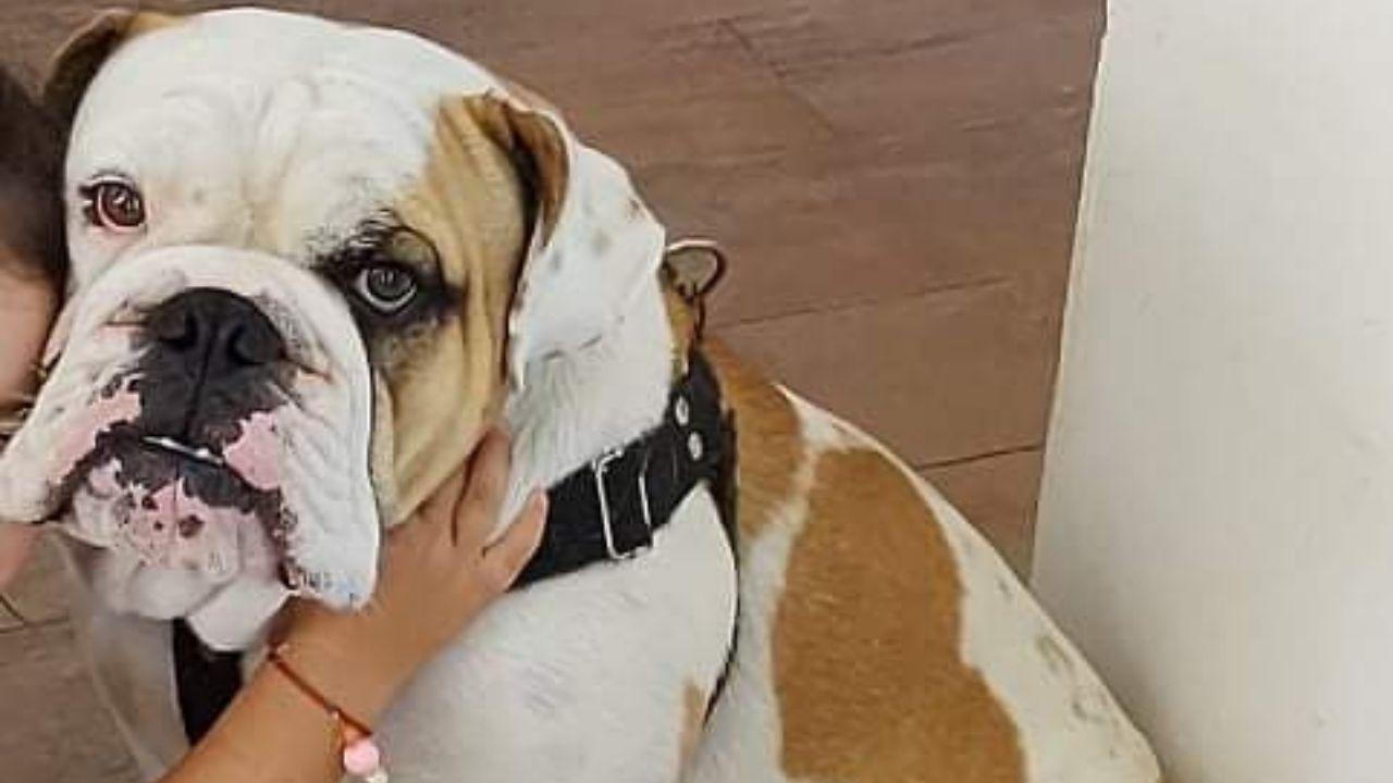 jpg_20220321_132153_0000