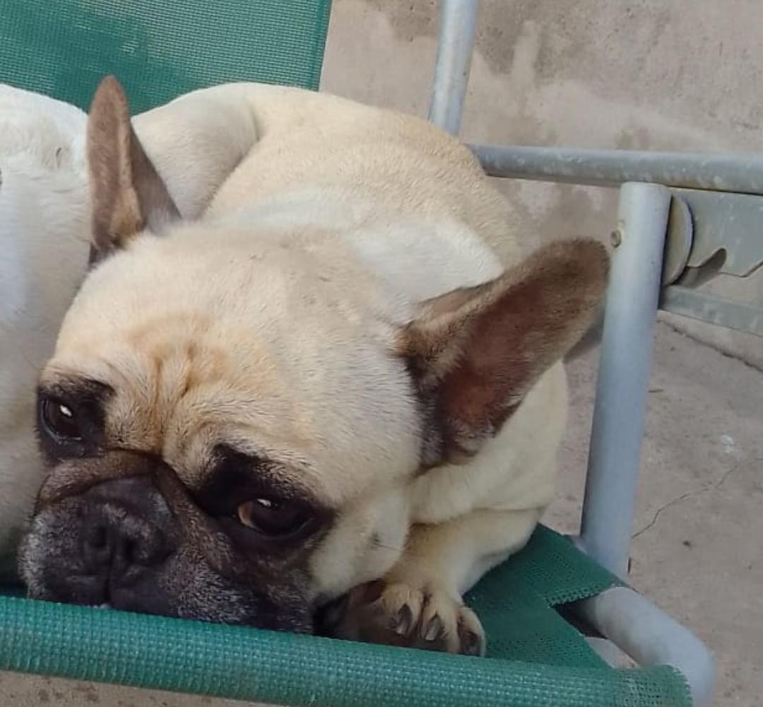 Screenshot_20240303_081050_WhatsAppBusiness