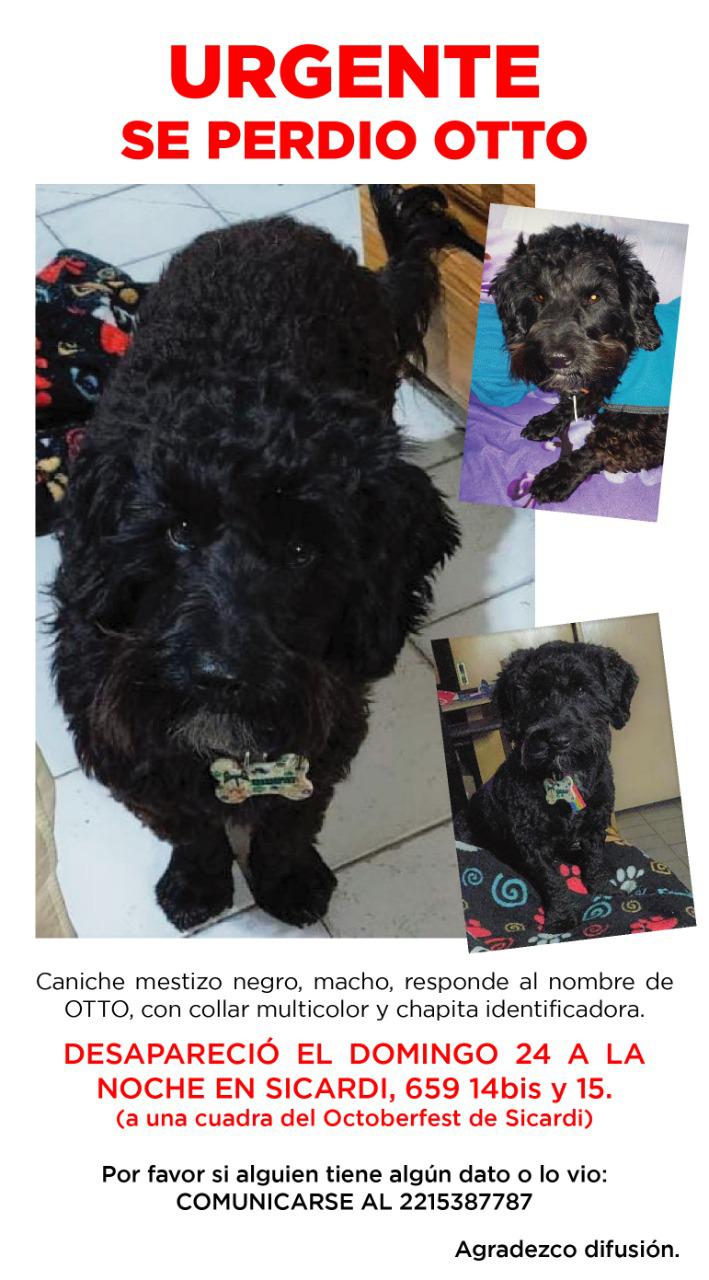otto