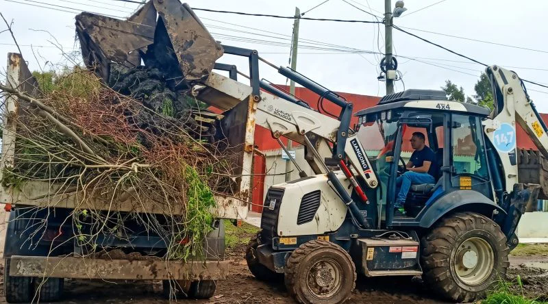 Operativo de ramas en Villa Garibaldi