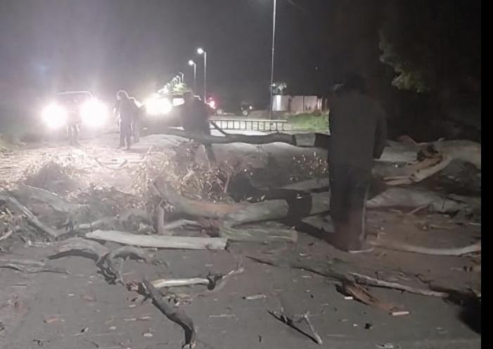 Screenshot_20231015_093757_WhatsApp