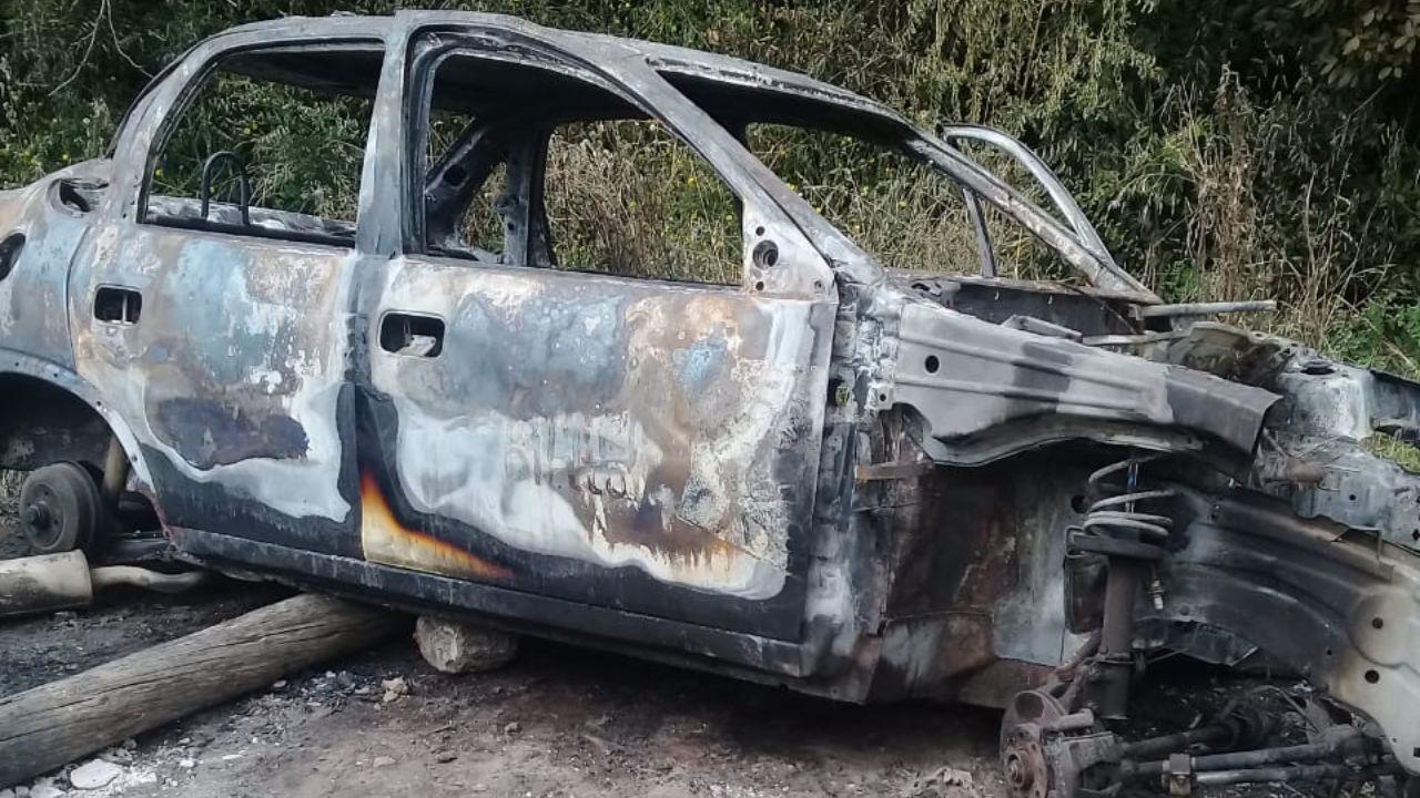 Imagenes sicardi tv (29)