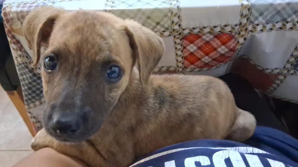 Titan, falta de su hogar