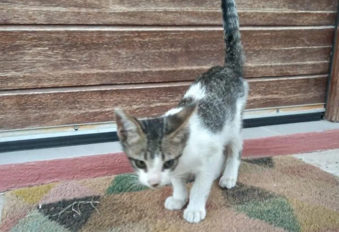 Screenshot_20250205_164214_Business Suite