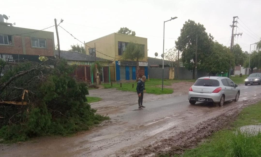 Screenshot_20231217_171341_WhatsApp