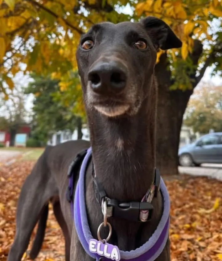 9ad4ed1c-bb84-476e-8c8c-00f5cc5807d4