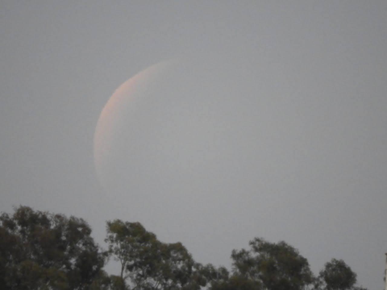 IMG-20211119-WA0013