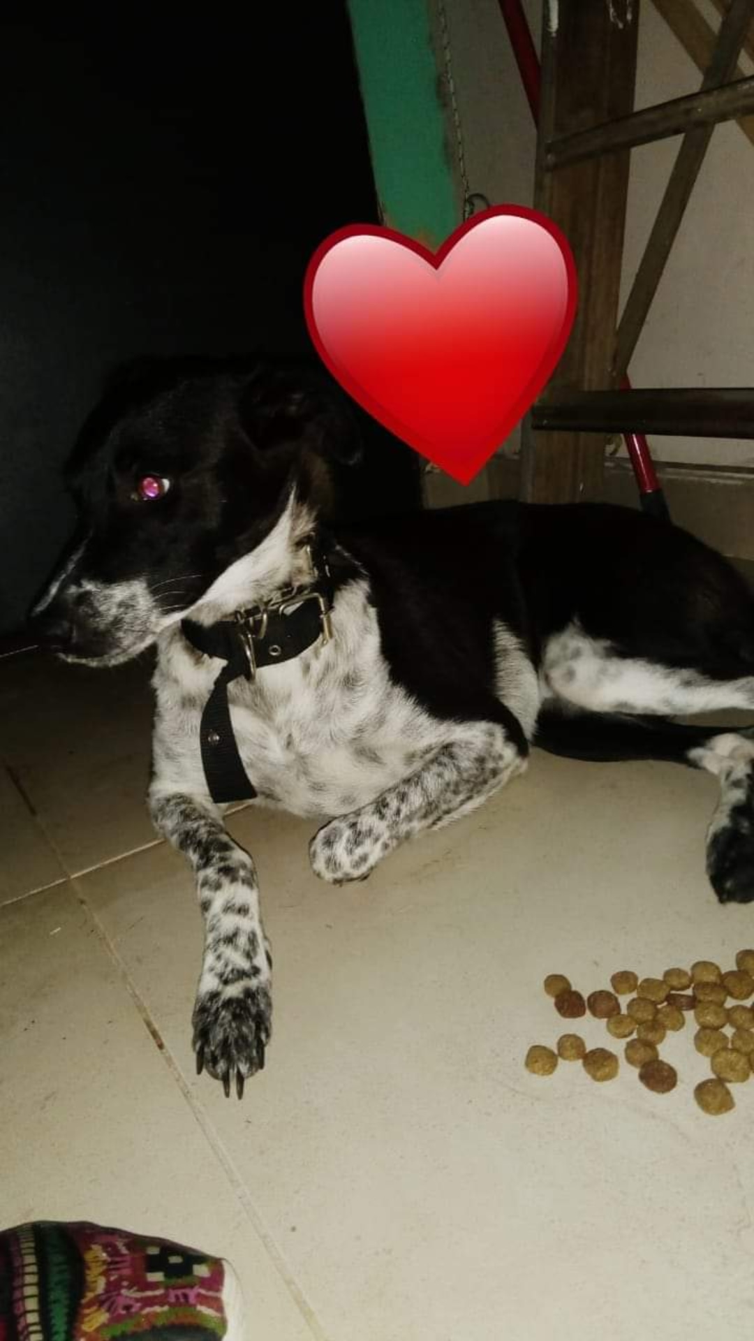 IMG_20200217_202205_790