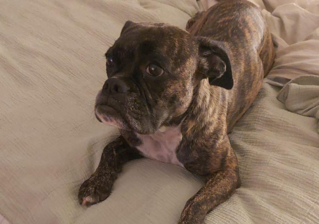 Screenshot_20240307_102406_WhatsAppBusiness