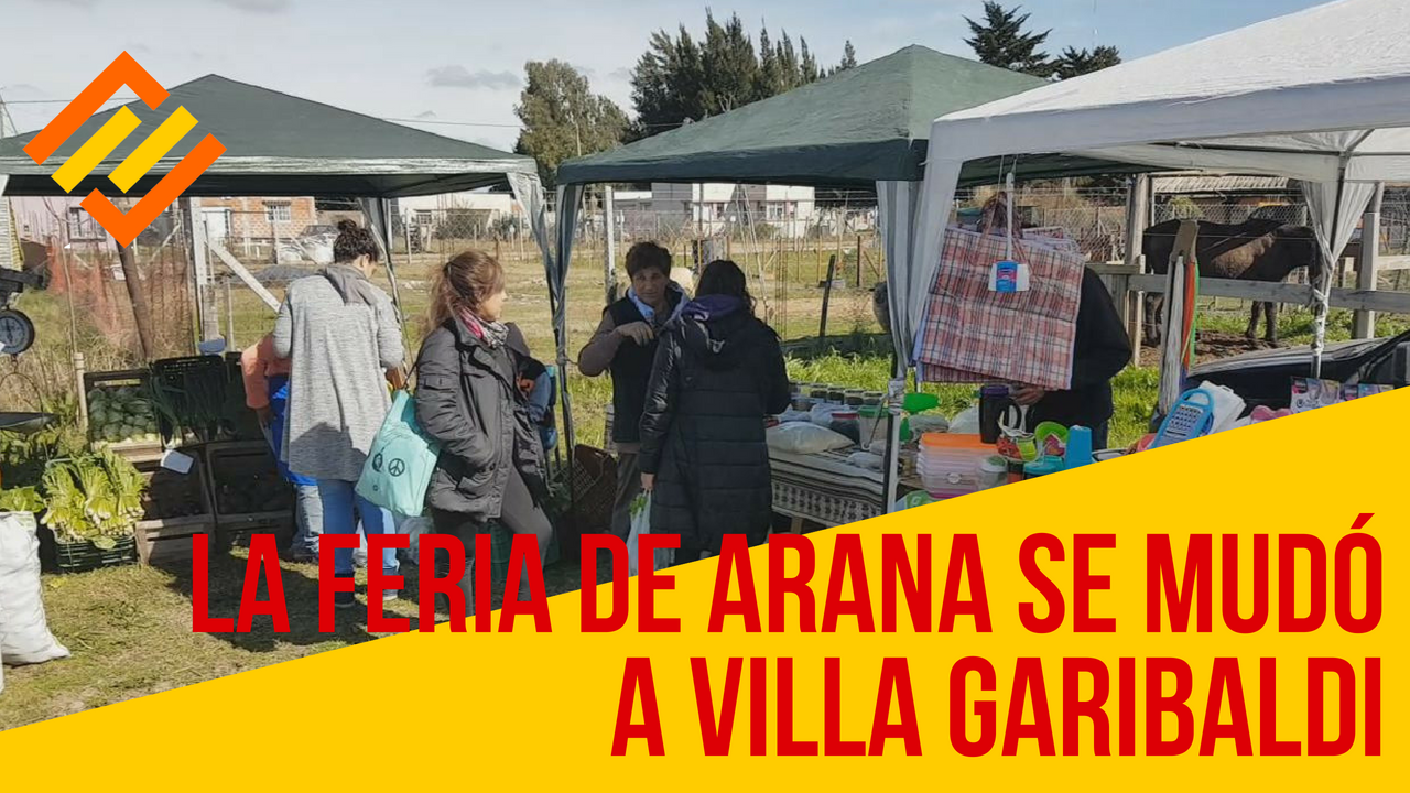 feria arana