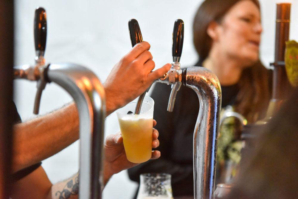 cultura cervecera platense cerveza